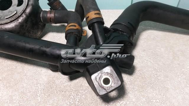 Патрубок системи охолодження 8200110038 RENAULT