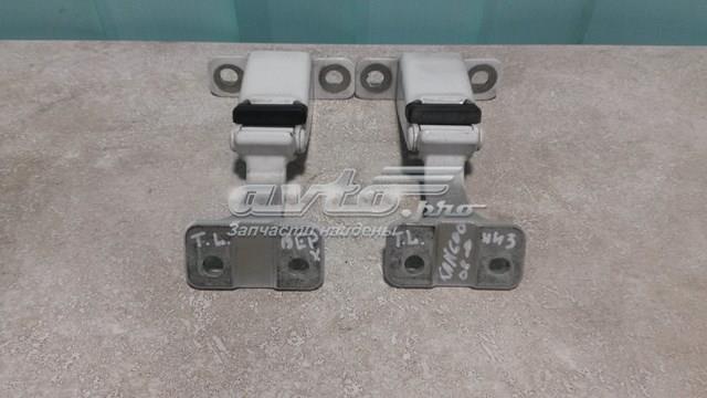 Петля дверей задньої (розпашної) 904008309R RENAULT