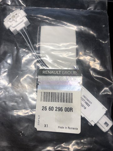 266029600R Renault (RVI)