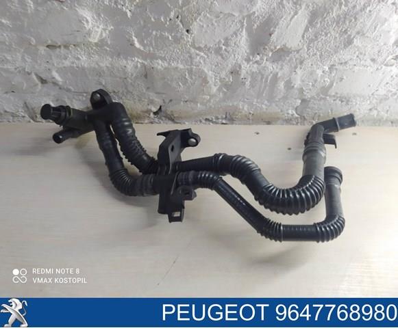 Шланг/патрубок водяного насоса, приймальний 9647768980 PEUGEOT