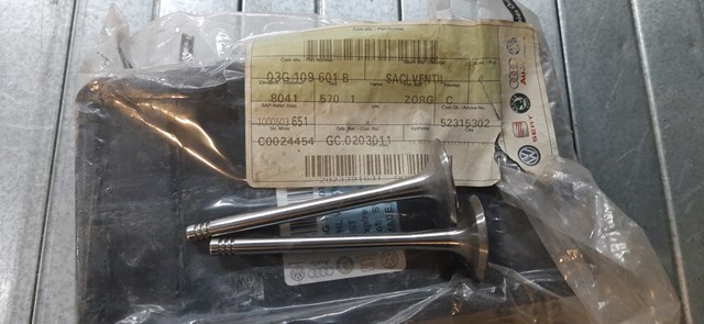 Клапана і штовхачі 03G109601B VAG
