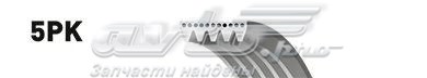Поліклиновий ремінь 5PK1645 GATES