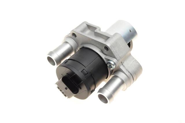 Клапан EGR, рециркуляції газів 70813 AIC