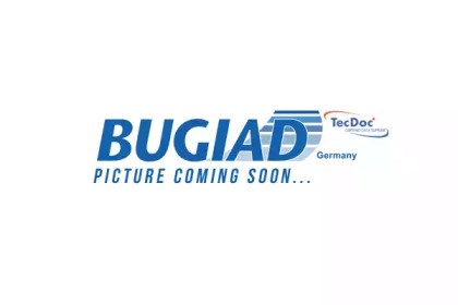 Цапфа передні праві BSP24689 BUGIAD