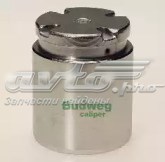 Поршень гальмівного супорта заднього D025120 AUTOFREN