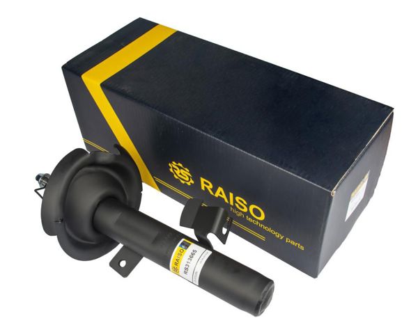 Амортизатор передньої підвіски RS313665 RAISO