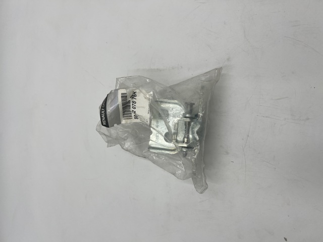 Завіса передніх дверей 804207876R RENAULT