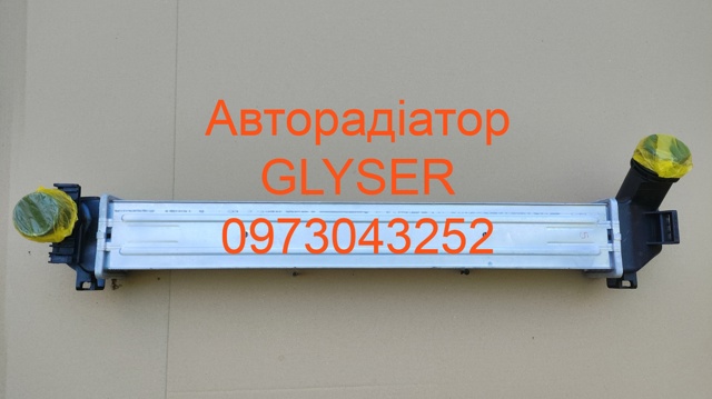 Охолоджувач наддувочного повітря 144960024R КИТАЙ