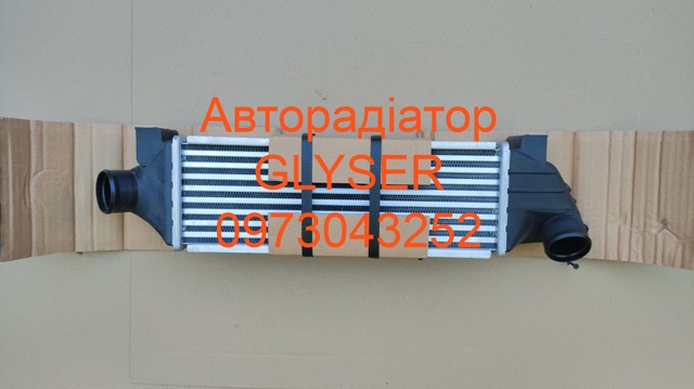 Охолоджувач наддувочного повітря 4522847 КИТАЙ