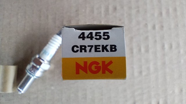 Свічки запалювання 4455 NGK