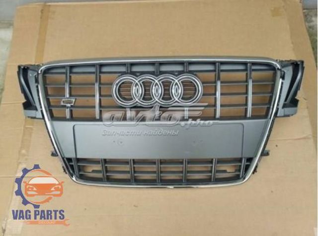 Захисна решітка радіатора 8T0853651F1RR VAG