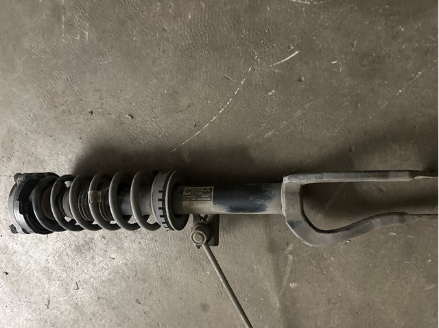 Амортизатор передньої підвіски 31316798152 BMW