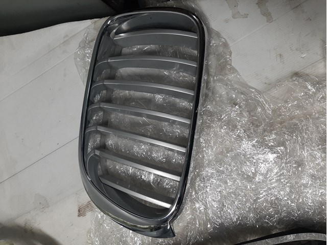 Решітка радіатора ліва 51117210725 BMW