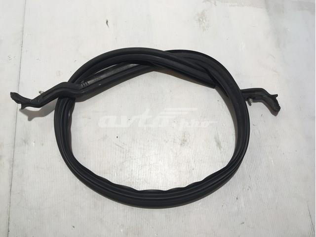 Гумка під капот 51767034163 BMW