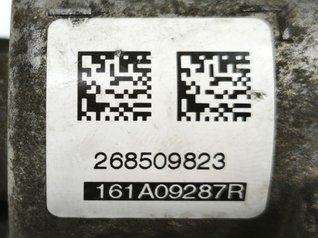 Дросільна заслінка в зборі 161A09287R RENAULT