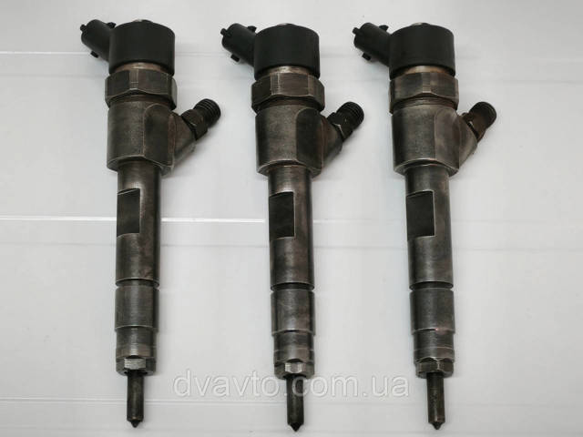 Форсунка дизельна в зборі, розпилювач + тримач 166000620R BOSCH