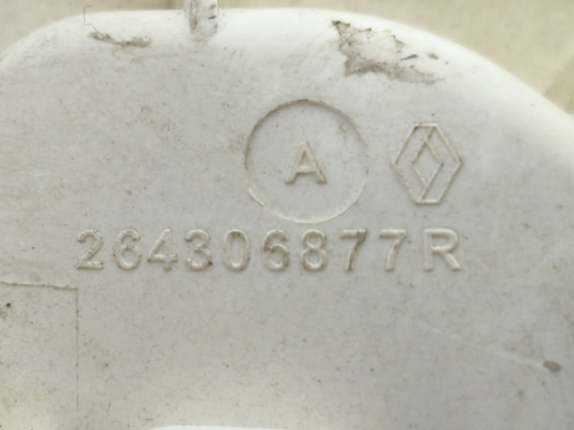 Плафон освітлення салона/кабіни, задній 264306877R RENAULT