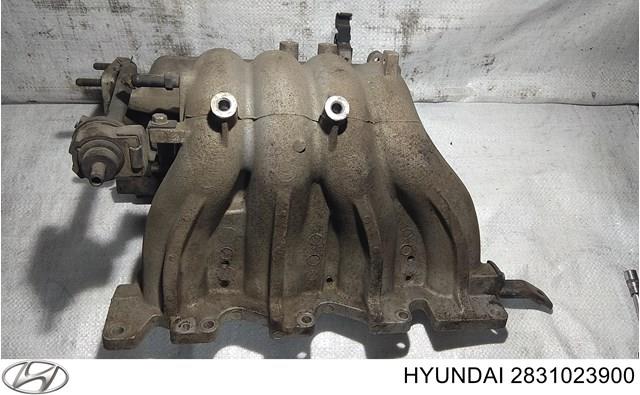 Колектор впускний 2831023900 HYUNDAI