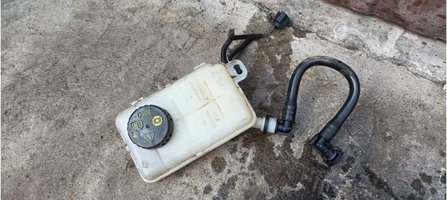 Бачок гальмівної рідини 460913647R RENAULT