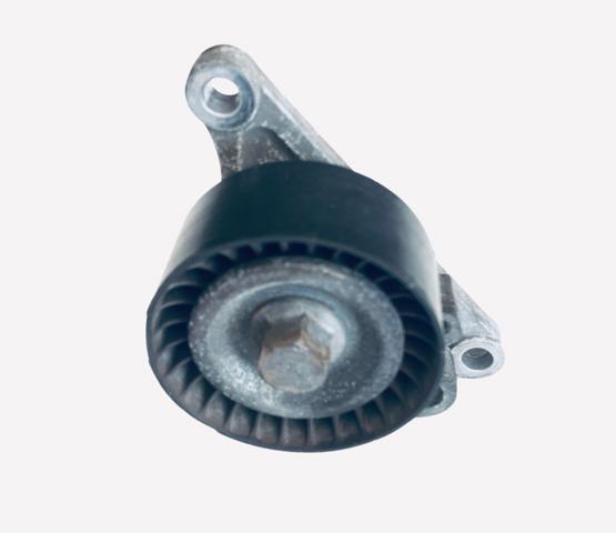 Натяжна планка поліклинового ременя 117507568R RENAULT