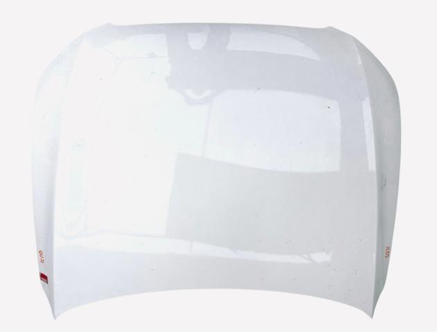 Капот 8R0823029 VAG