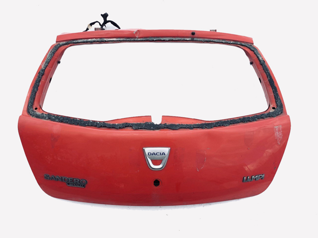 Задні двері багажника 901006269R RENAULT