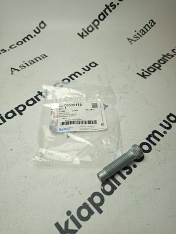 Болт кріплення маточини 09595179 GM