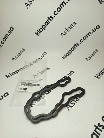 Прокладка клапанної кришки двигуна, внутрішня 224422R000 HYUNDAI