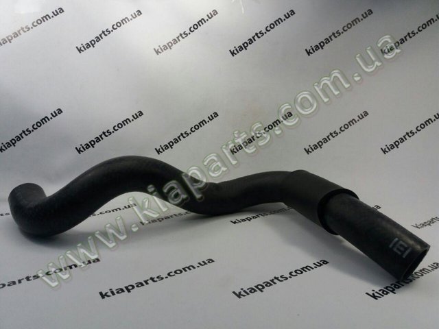 Шланг/патрубок радіатора охолодження, нижній 254122E200 HYUNDAI