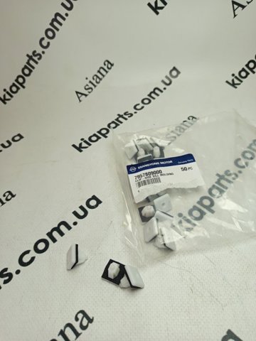 Кліпса кріплення накладок порогів 7957809000 SSANG YONG