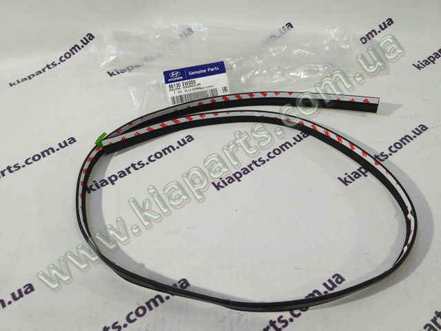Захисна накладка переднього скла 861303V000 HYUNDAI