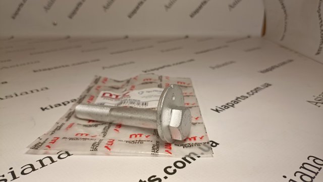 Болт переднього важеля, верхнього ZWGNS033S NTY