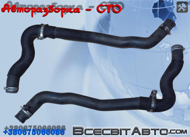 Шланги системи охолодження 215010012N RENAULT
