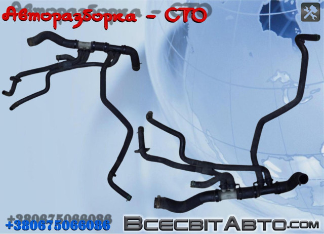 Шланг/патрубок радіатора охолодження, нижній 215033660R RENAULT