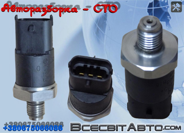 Манометри 281002405 BOSCH