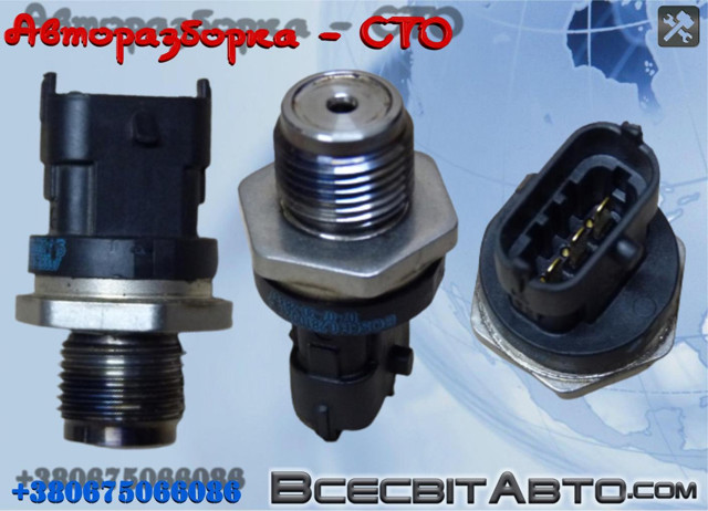 Манометри 281002915 BOSCH