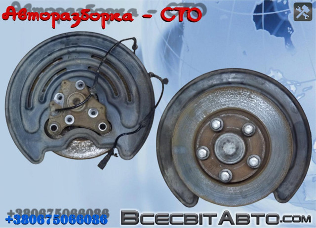 Цапфа - поворотний кулак задній, лівий 430433572R RENAULT