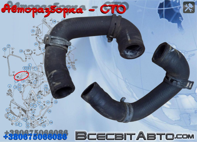 Шланг/патрубок радіатора охолодження, нижній 7E0121086J VAG