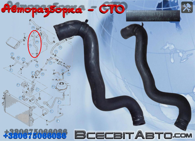 Шланг/патрубок системи охолодження 7H0121073F VAG