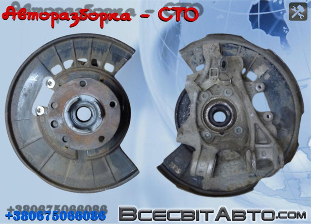 Цапфа - поворотний кулак задній, правий 7P0505436A VAG