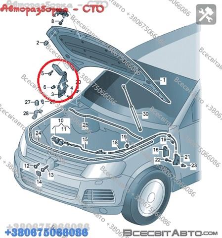 Петля капота, ліва 7P6823301 VAG