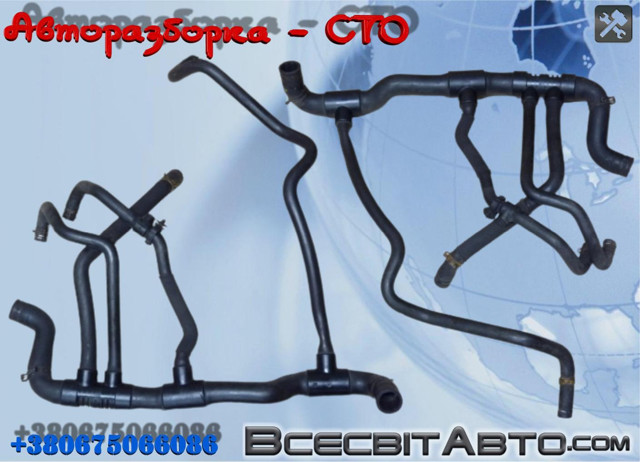 Шланг/патрубок радіатора охолодження, нижній 8200262890 RENAULT