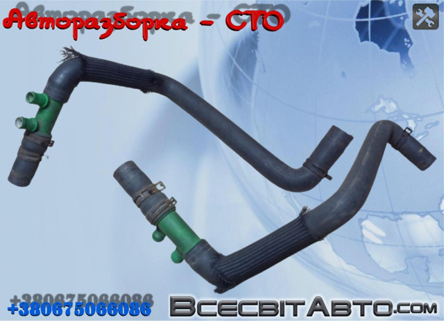 Шланг/патрубок радіатора охолодження, нижній 8200413834 RENAULT