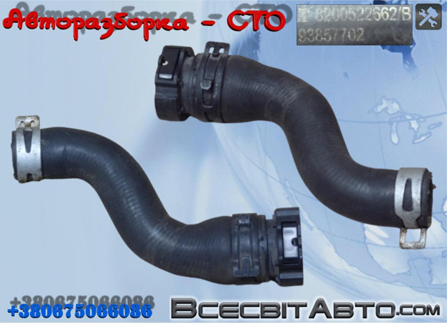 Шланг/патрубок радіатора охолодження, нижній 8200522662 RENAULT
