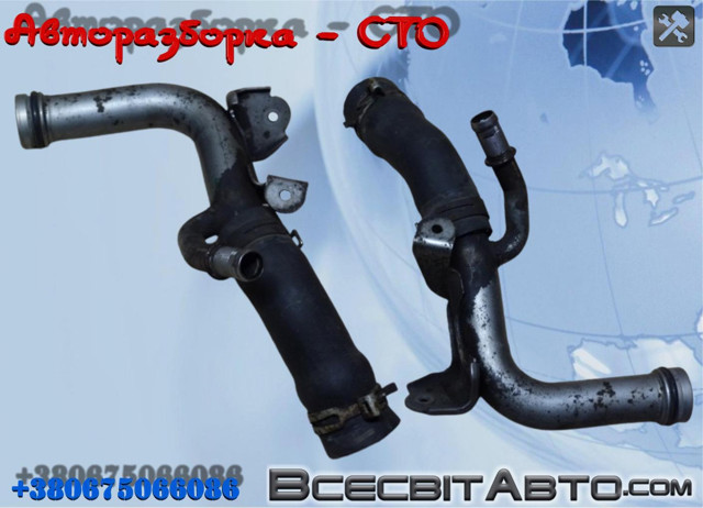 Трубопроводи і шланги системи охолодження 8201128904 RENAULT