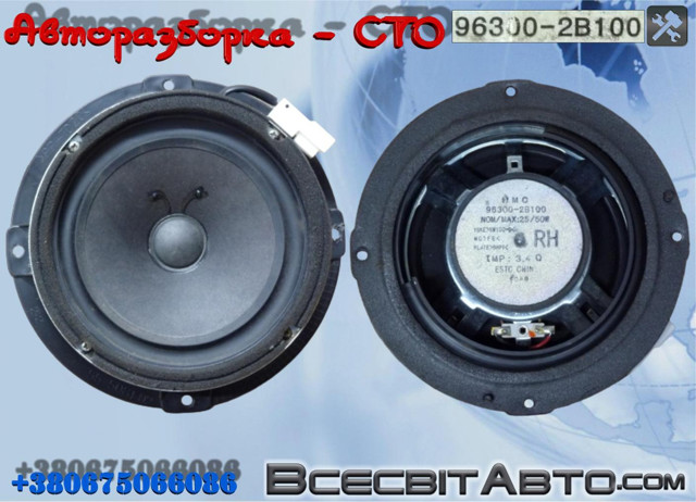 Динамік передньої двері 963002B100 HYUNDAI