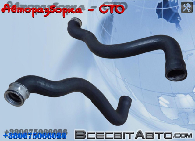 Шланг/патрубок радіатора охолодження, нижній A2035010682 MERCEDES