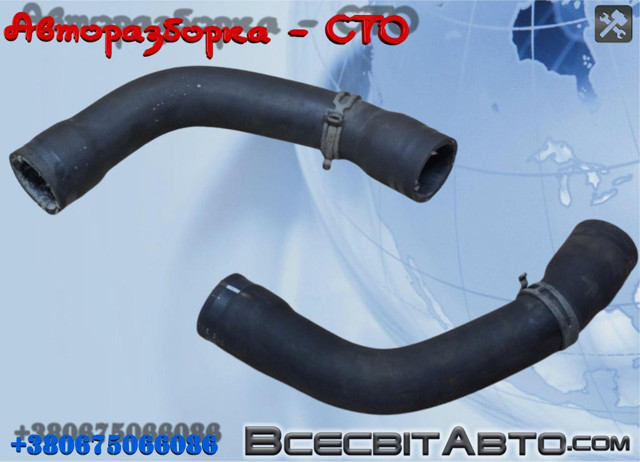 Шланг/патрубок радіатора охолодження, нижній A6395013882 MERCEDES