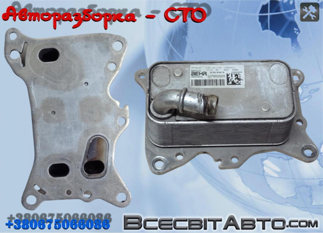 Радіатор масляний A6511801165 MERCEDES