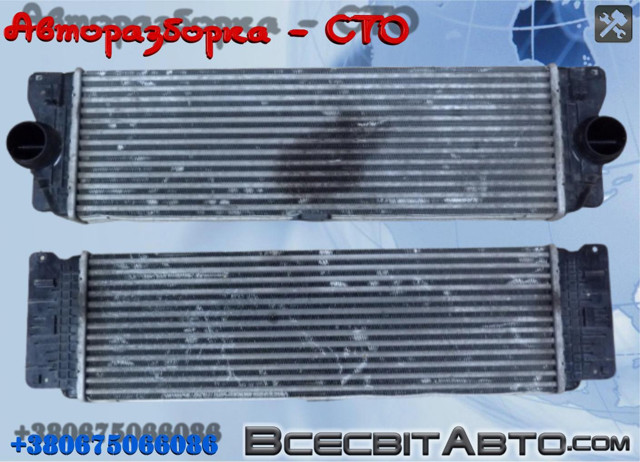 Радіатор інтеркулера A9065010201 MERCEDES
